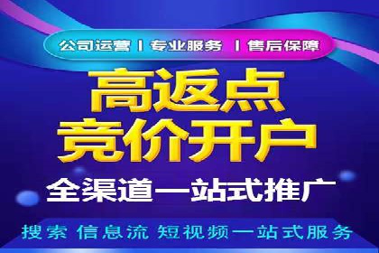 SEM推广优化实战：案例分析与启示